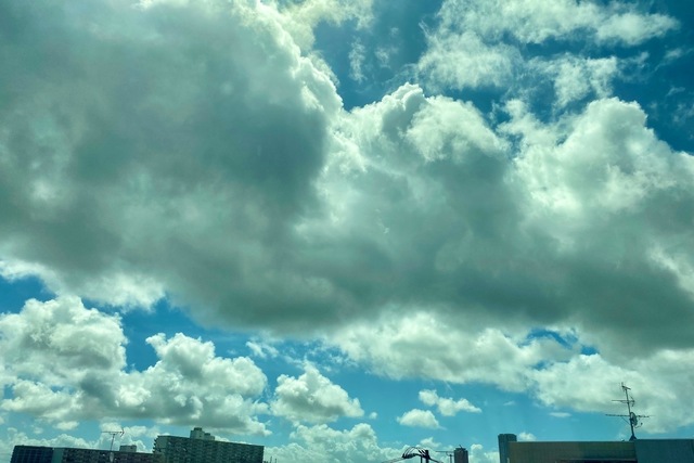 D54C118D-AA29-4088-885F-CCCCD05F321C.jpeg