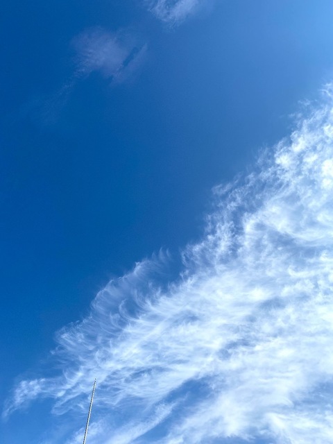 3F860409-EB6C-4F54-AFE0-ABAA0422ECDA.jpeg