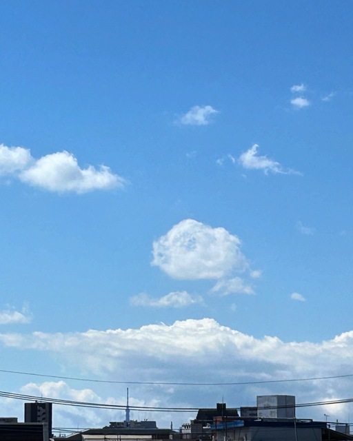 58D521FE-78D6-4539-AB5F-01326EACB522.jpeg