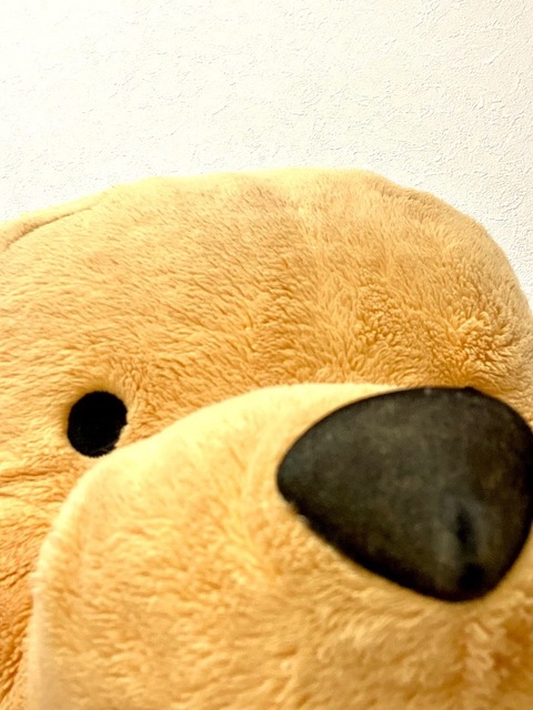 FDF91DF1-F747-4204-999A-144E9AB0FC91.jpeg