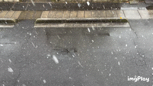 IMB_Or0x6Y.gif
