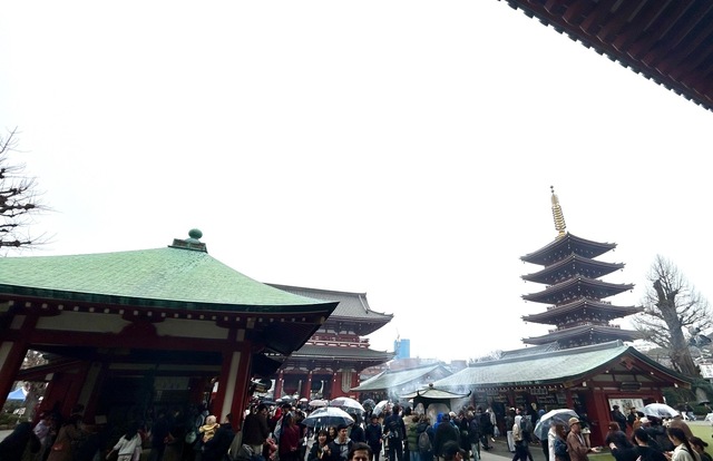 IMG_6184.jpeg