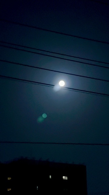 IMG_6227-0ff3d.jpeg