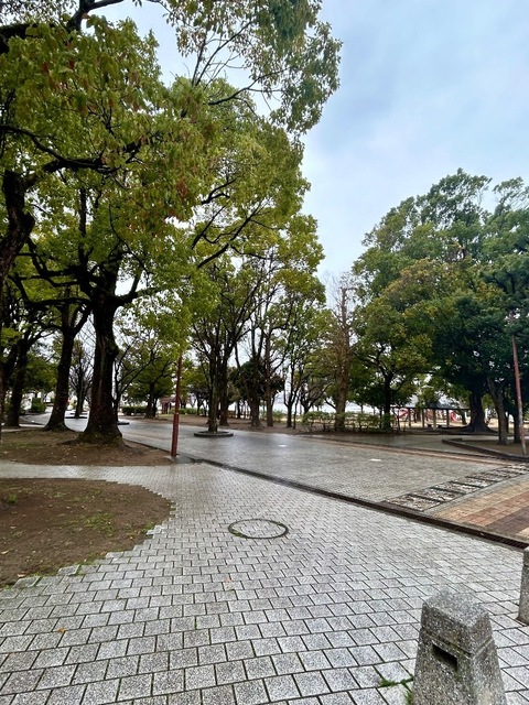 IMG_6248.jpeg
