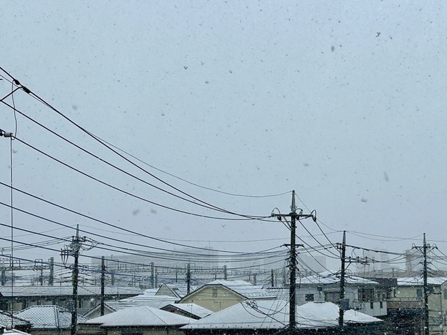 IMG_6382-98308.jpeg