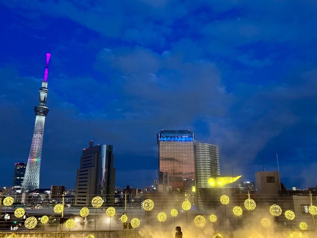 IMG_6423.jpeg