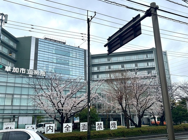 IMG_6622-ec656.jpeg