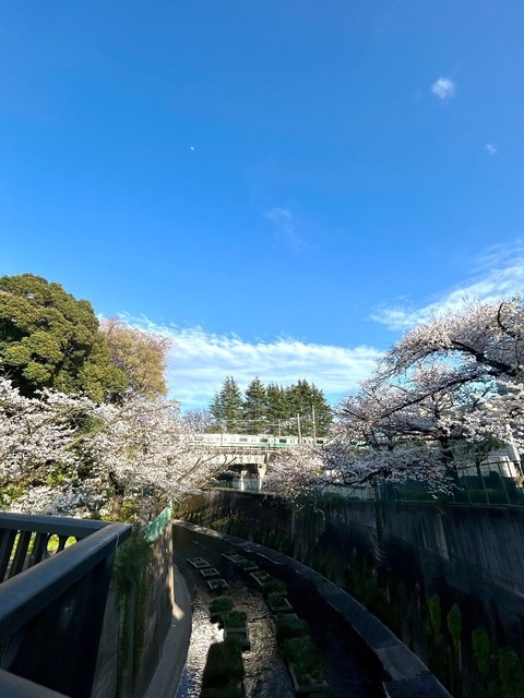 IMG_6751-54f00.jpeg