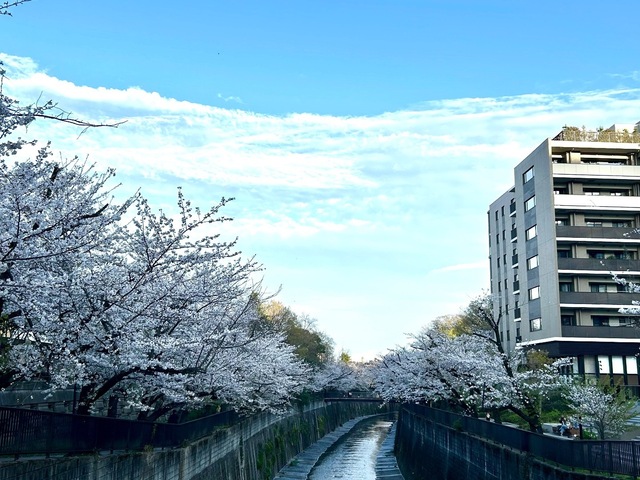 IMG_6769.jpeg