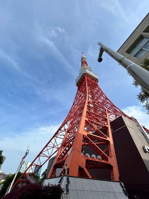 IMG_7288.jpeg
